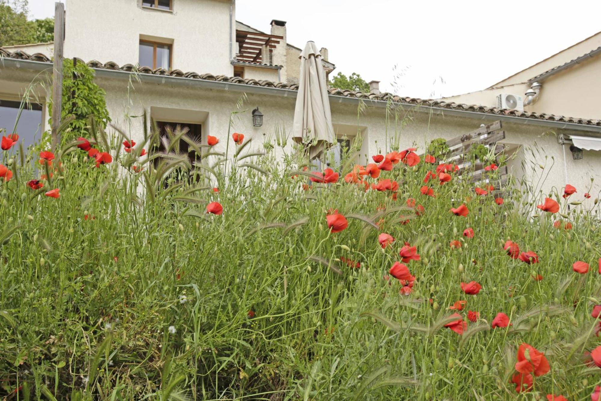 Les Anes De Forcalquier Hotell Rom bilde